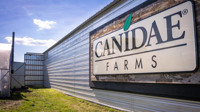 Canidae Farms, Wichita KS. Photo by Alabastro Photography.