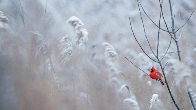 ray-hennessy-6-JIDCnZG2E-unsplash